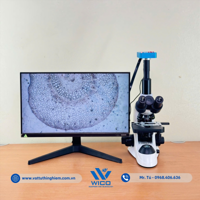 vttn-vuong-icc-1038-la-dau-tam (3).jpg